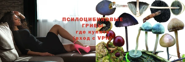дживик Михайловск