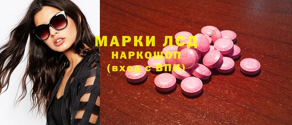 СК Медвежьегорск