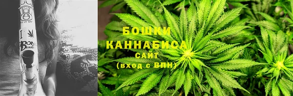 дживик Михайловск